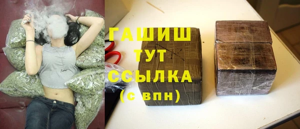 индика Алзамай