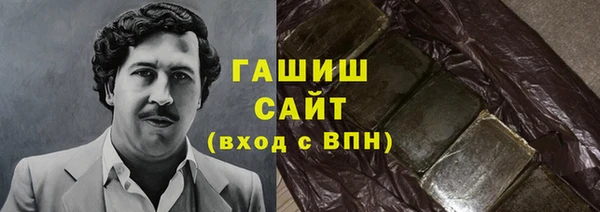 индика Алзамай