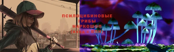 сатива Сатка