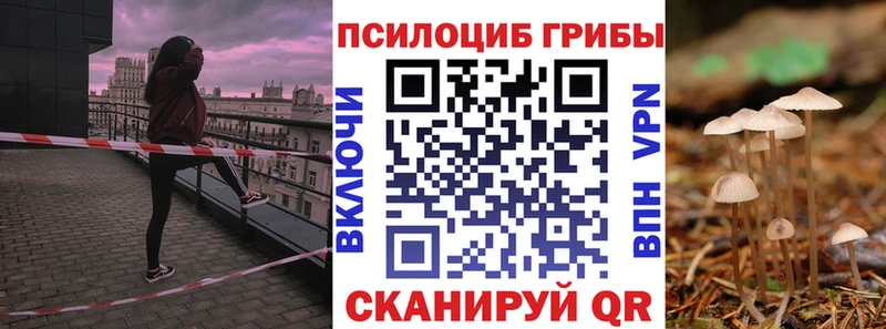 Псилоцибиновые грибы Cubensis  Лесосибирск 