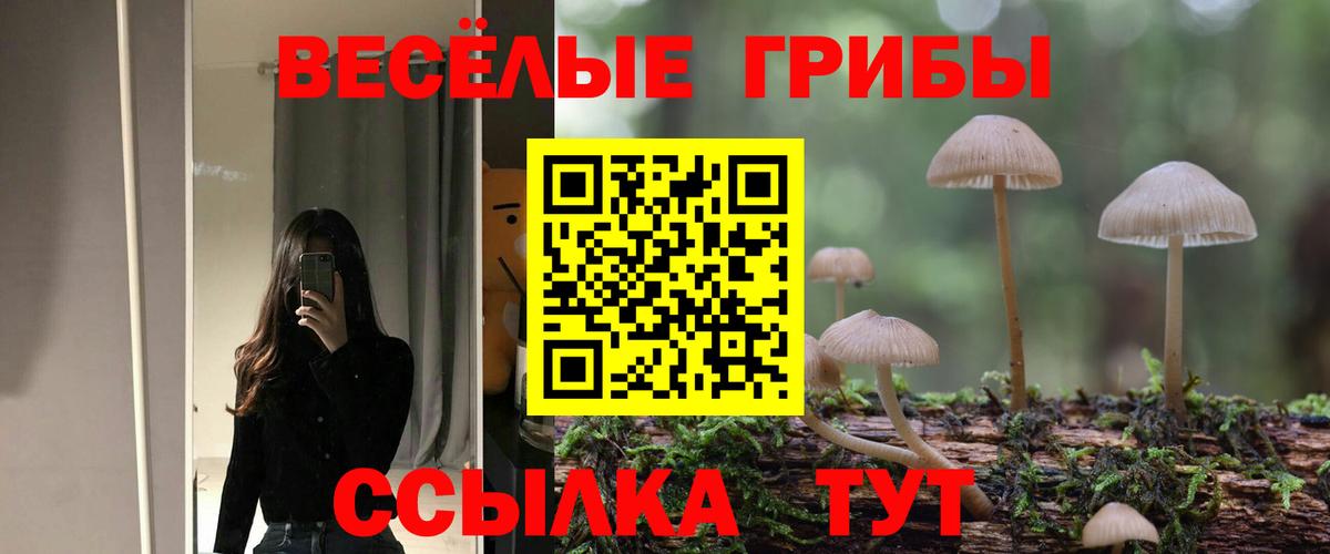 Псилоцибиновые грибы Magic Shrooms  Вход с VPN  Лесосибирск 