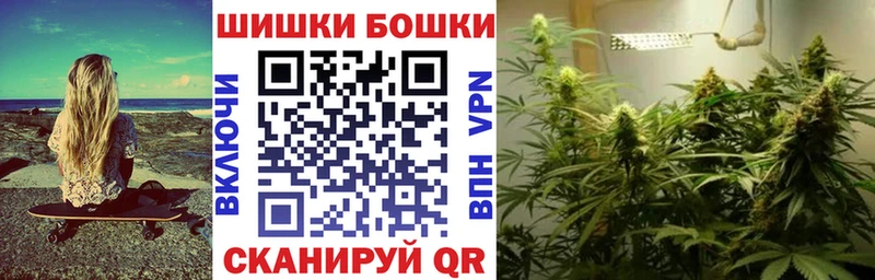 omg как войти  Лесосибирск  Каннабис VHQ 